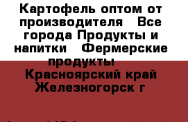 Картофель оптом от производителя - Все города Продукты и напитки » Фермерские продукты   . Красноярский край,Железногорск г.